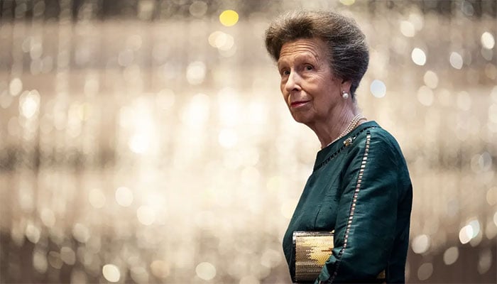 Princess Annes meaningful bag stands out at Kings birthday celebration
