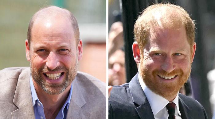 Princes William, Harry chances of reunion laid bare after Highgrove visit