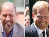 Princes William, Harry chances of reunion laid bare after Highgrove visit