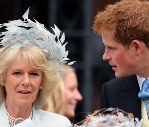 Queen Camilla plays key role in Prince Harry and King Charles' reunion