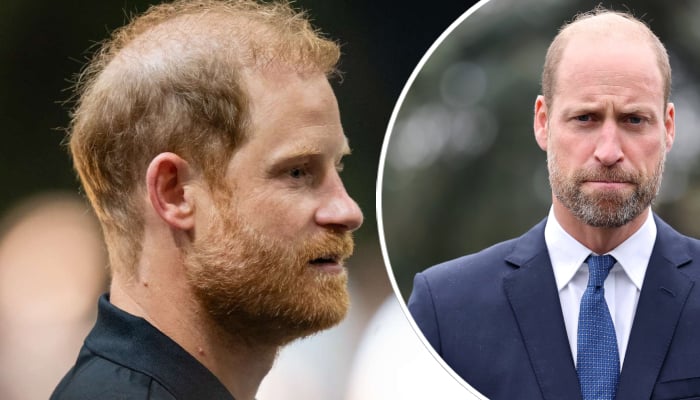 Prince Harry shares Williams pain in first appearance after royal meeting