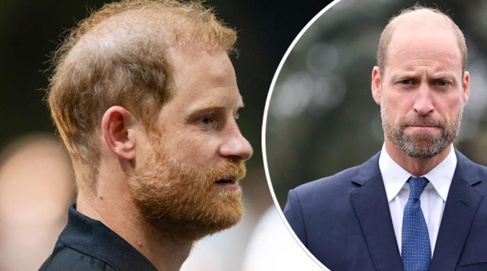 Prince Harry shares William's pain in first message after royal meeting