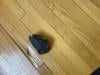 Meteorite that hit New Jersey contains ‘alien world chemistry' containing rare brine signatures