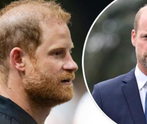 Prince Harry shares William's pain in first message after royal meeting