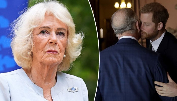 Queen Camilla performs big favour for monarchy after Prince Harry’s welcome