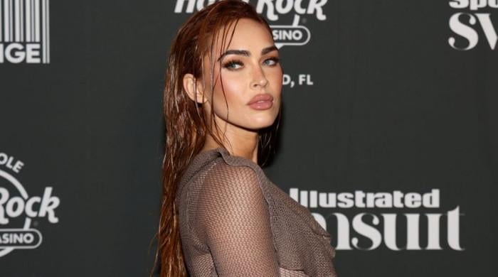 Megan Fox's hilarious reply to troll steals the spotlight