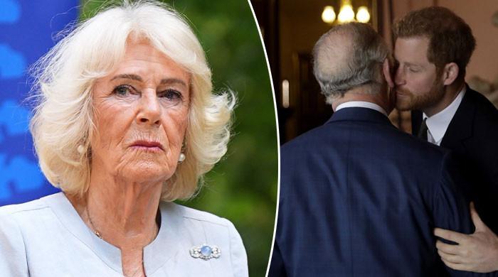 Queen Camilla performs big favour for monarchy after Prince Harry's welcome