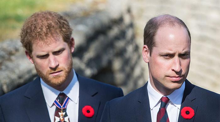 Prince William missing from Harry's meeting becomes biggest talking point