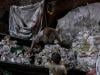 Egypt's 'Garbage City' recyclers reap gains from Iran war plastic squeeze