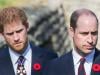 Prince William missing from Harry's meeting becomes biggest talking point