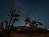 Perseid meteor shower begins tonight: complete California viewing forecast inside