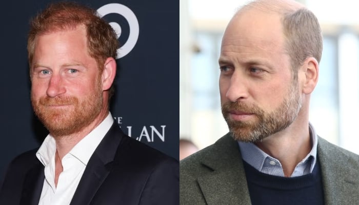 Prince Harry takes wise step to win over William after royal meeting