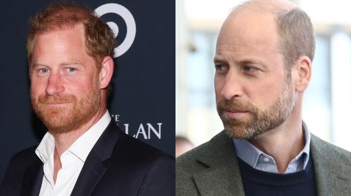Prince Harry takes wise step to win over William after royal meeting