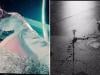 Ariana Grande drops teasers for 'petal' music video and 'kiss me' lyrics 