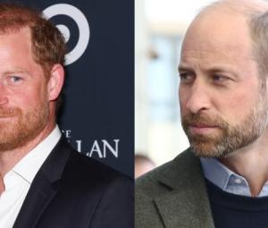 Prince Harry takes wise step to win over William after royal meeting