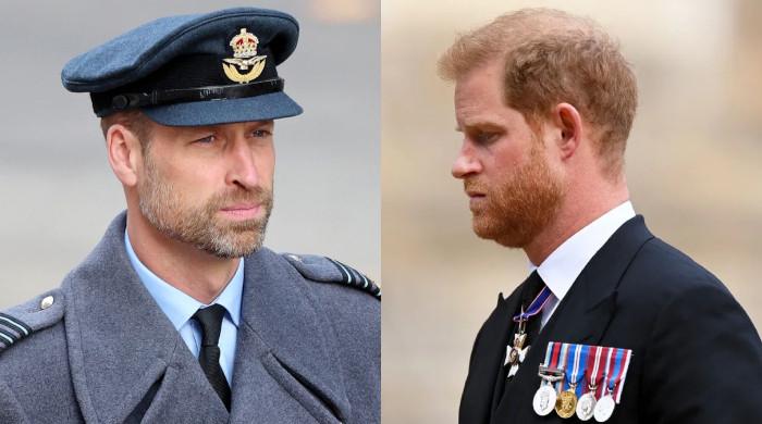 Prince William decides to make peace with Harry but on strict conditions