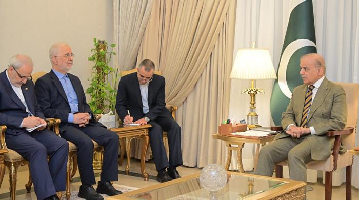 PM Shehbaz urges Iran-US de-escalation in meeting with Momeni