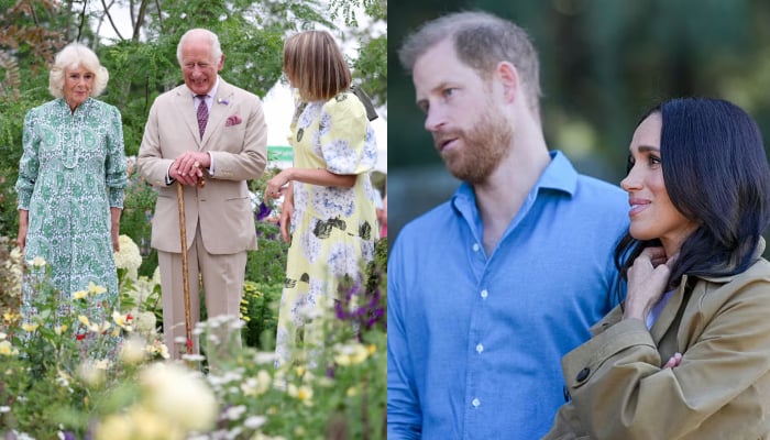 Buckingham Palace issues statement after Meghan Markle bombshell