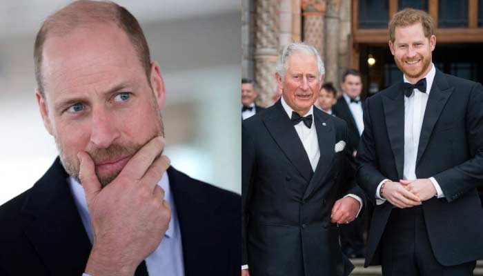 Prince William takes first step toward healing with Prince Harry
