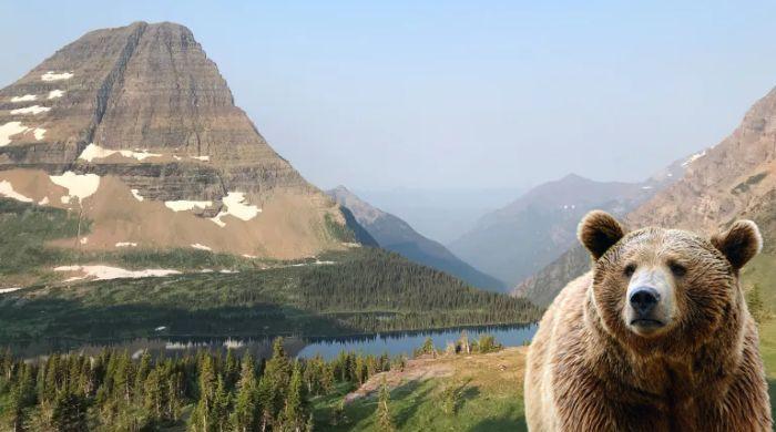 Final moments of hiker prior to fatal bear attack at Glacier National Park revealed