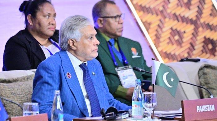 At Asean moot, Dar highlights Kashmir dispute, Gulf crisis as core threats to regional peace