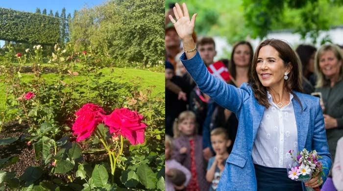 Royal family enjoys historic retreat as Queen opens Palace doors