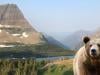 Final moments of hiker prior to fatal bear attack at Glacier National Park revealed