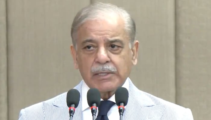 Prime Minister Shehbaz Sharif addresses the Balochistan National Workshop in Islamabad, July 24, 2026. — Screengrab via X/@GovtofPakistan