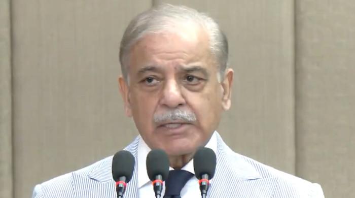 India's role 'absolutely clear' in terrorist attacks inside Pakistan: PM Shehbaz
