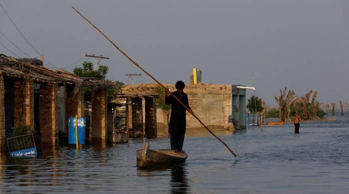 Climate governance whiplash