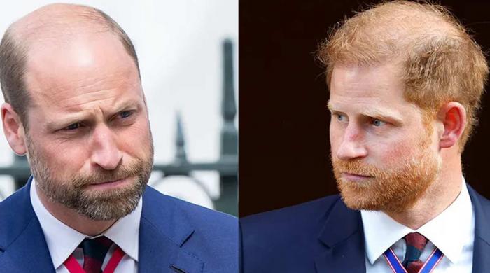 Prince Harry can't dare to drive wedge - WIlliam, King Charles stay united