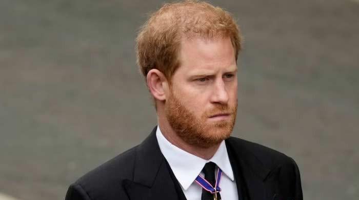 Prince Harry's apology won't get his royal status back