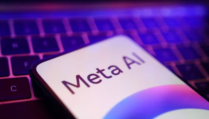 Meta AI logo is seen in this illustration taken May 20, 2024. — Reuters