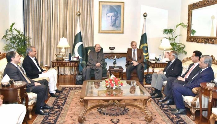 President Asif Ali Zardari in a meeting with Prime Minister Shehbaz Sharif at Aiwan-e-Sadr in Islamabad, May 11, 2026. — APP