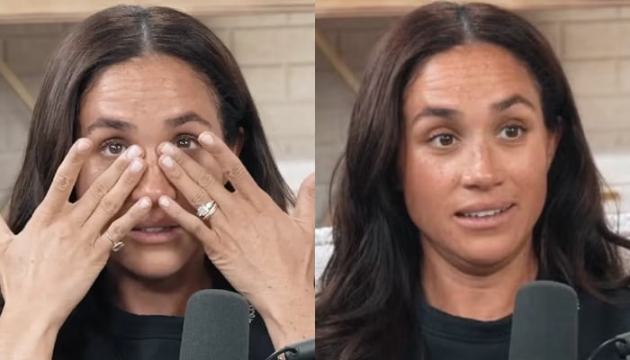 Meghan Markle opens eyes of public as bullying storm grows