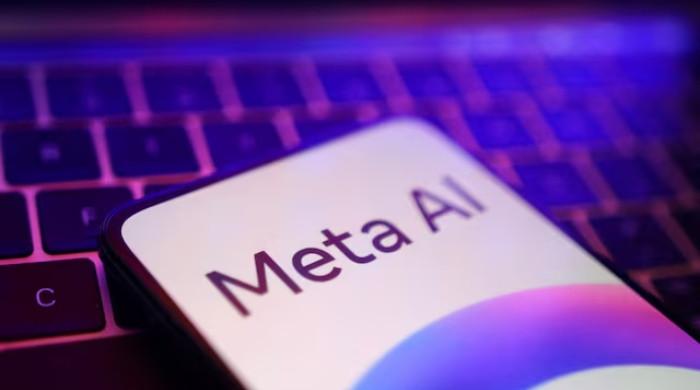 Meta AI model hacks another company during cybersecurity testing