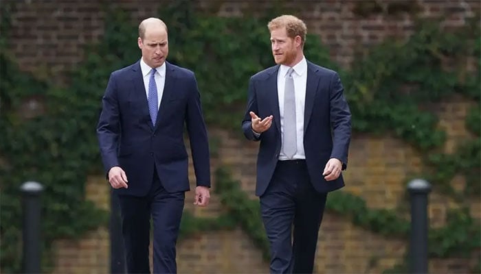Prince William and Harry’s quiet reunion revealed despite distance