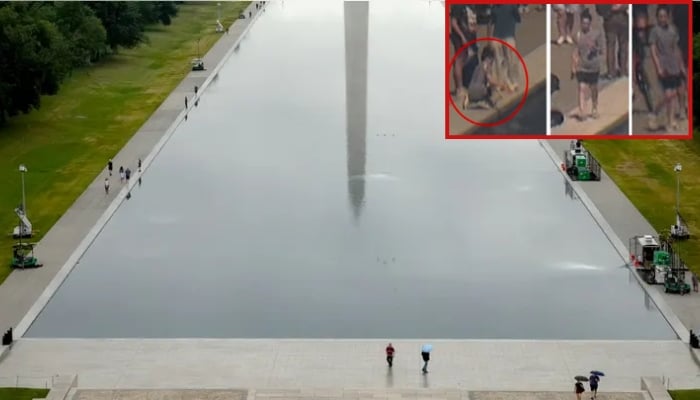 Trump blames contractor error for Reflecting Pool damage, invokes new eyewitness claim