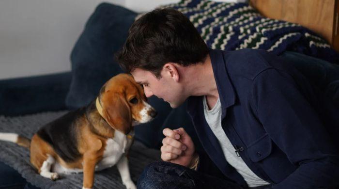 Scientists create gene-edited dogs that don't trigger allergies: Here's how