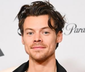 Harry Styles melts hearts after sharing sweet moment with fan's baby