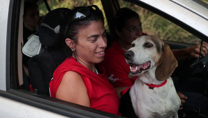 Members of the Wildlife Rescue Network carry a rescued dog in a car near Loumpa, as wildfires hit West Attica, Greece, August 3, 2026. — Reuters