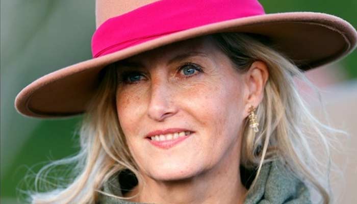Duchess Sophie’s style extravaganza freezes eyes: You cant look away