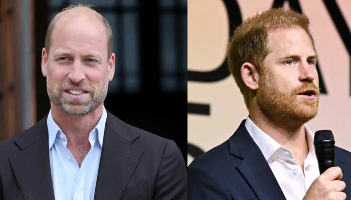 Prince William draws red line over Harrys return amid fears of new bombshell