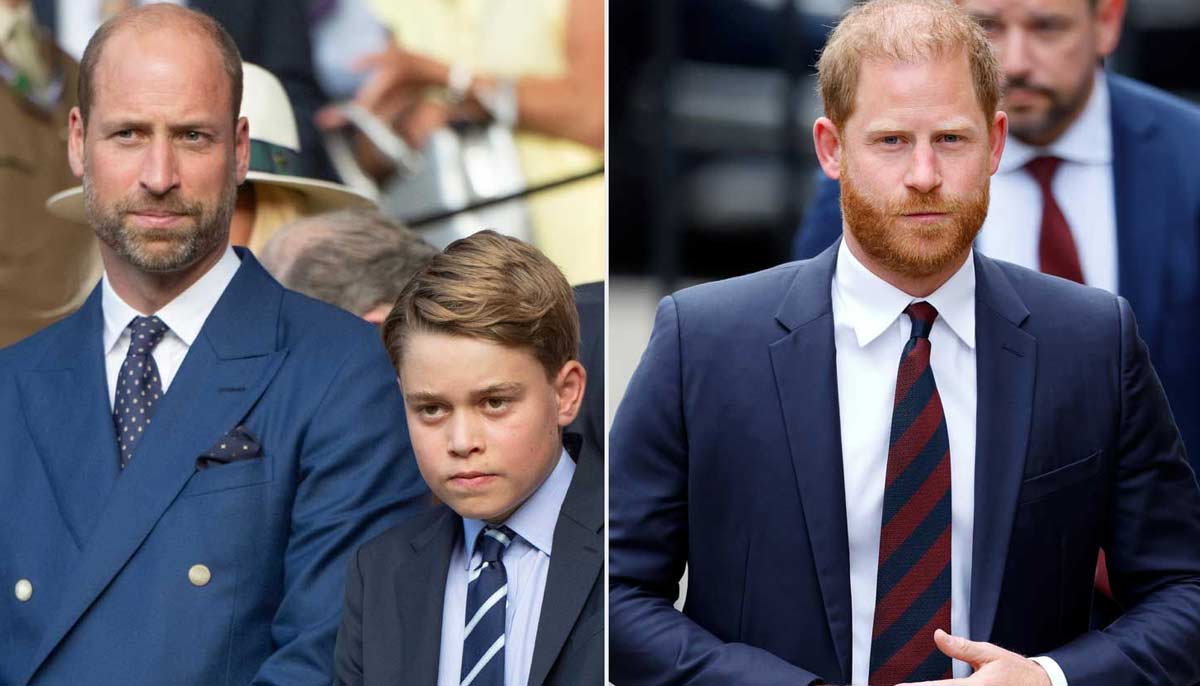 Palace aide reveals truth about Prince Harry apology, Williams reaction