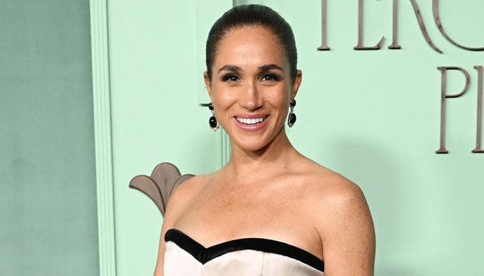 Meghan Markle sends befitting response to critics amid Martha Stewart claim