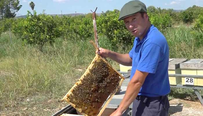 Beekeeper Francesco Pappalardo holds a beehive in the Sicilian town of Floridia where five years ago a temperature of 48.8 degrees Celsius, the highest temperature officially registered in continental Europe, was recorded, Italy, August 19, 2026. — Reuters