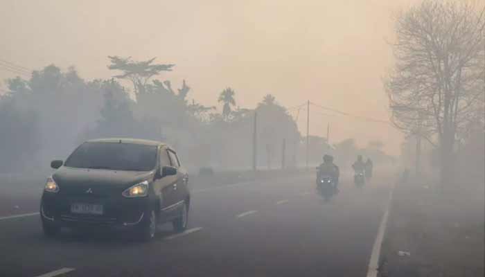 Fires between January and July burned more than 200,000 hectares of land. — AFP