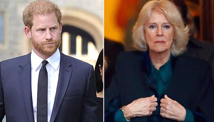 Prince Harry regrets his comments about Queen Camilla?