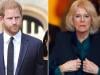 Prince Harry regrets his comments about Queen Camilla?