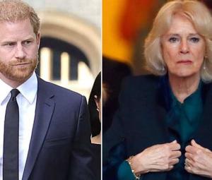 Prince Harry regrets his comments about Queen Camilla?